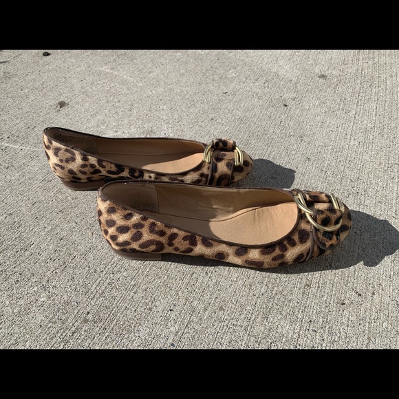 Cheetah Flats - Picture 2 of 4